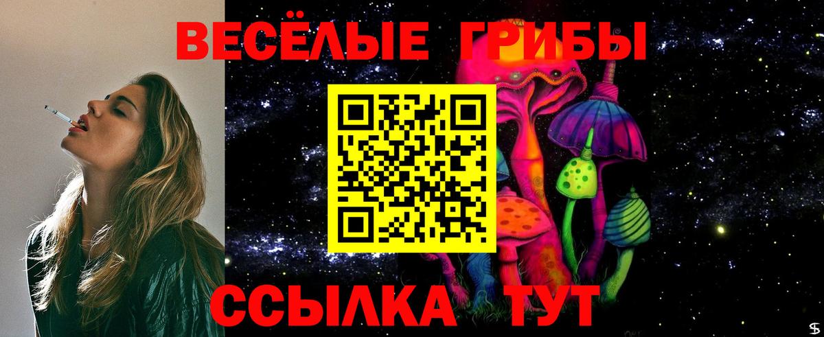 Галлюциногенные грибы GOLDEN TEACHER  наркотики  Псилоцибиновые грибы MAGIC MUSHROOMS  Междуреченск  Вход с VPN 