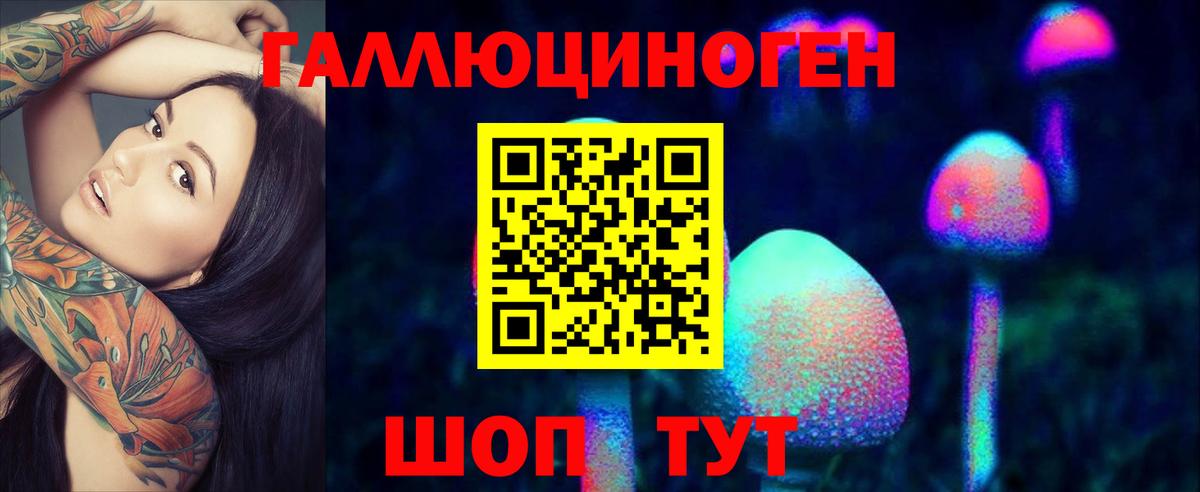 Галлюциногенные грибы GOLDEN TEACHER Междуреченск